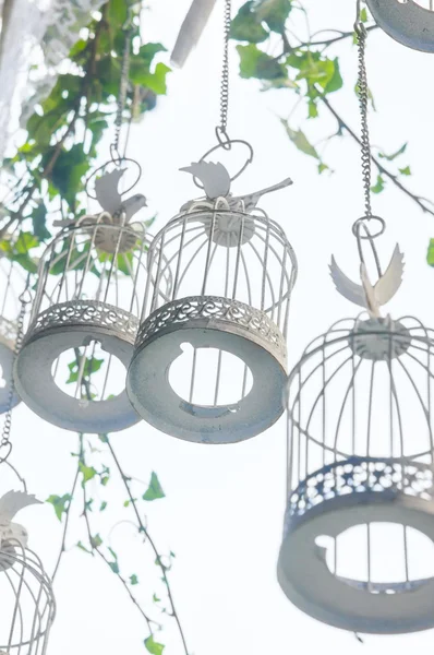 Dekoratív madár ketrecek — Stock Fotó