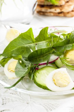 karahindiba yaprakları ile bahar salatası