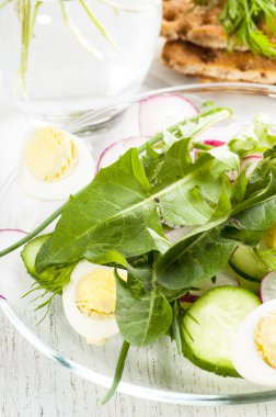 karahindiba yaprakları ile bahar salatası