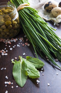 Bahar yeşillik salatası