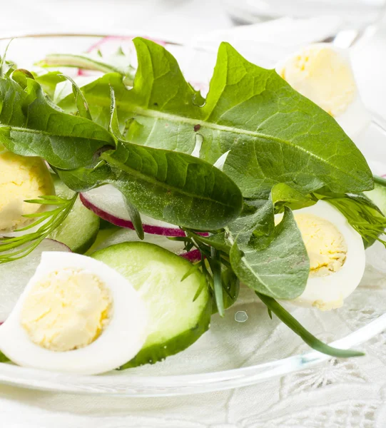 Salade de printemps aux feuilles de pissenlit — Photo