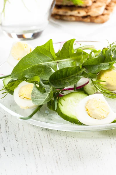 Salada de primavera com folhas de dente-de-leão — Fotografia de Stock