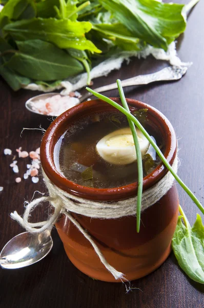 Green soup in jug — Stock Image Green soup in jug Stock Image