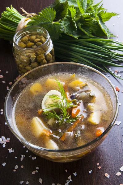 Green soup — Stock Image Green soup Royalty Free Stock Photos