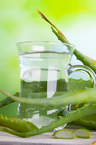 Aloe vera šťávy nápoj — Stock fotografie