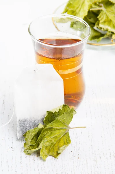 Blackcurrant leaves tea — Stock Photo, Image