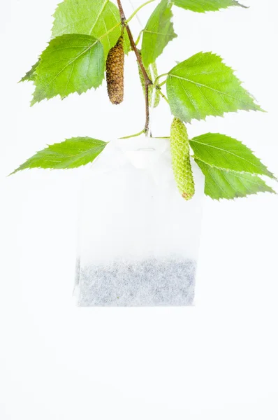 Birch tea bag — Stock Photo, Image