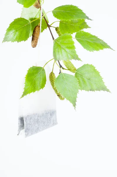Birch tea bag — Stock Image Birch tea bag Stock Photo