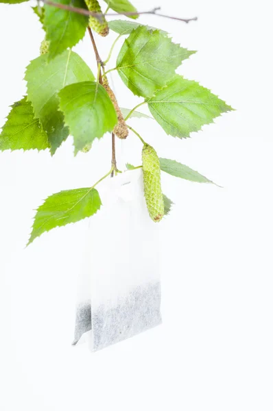 Birch tea bag — Stock Image Birch tea bag Stock Photo
