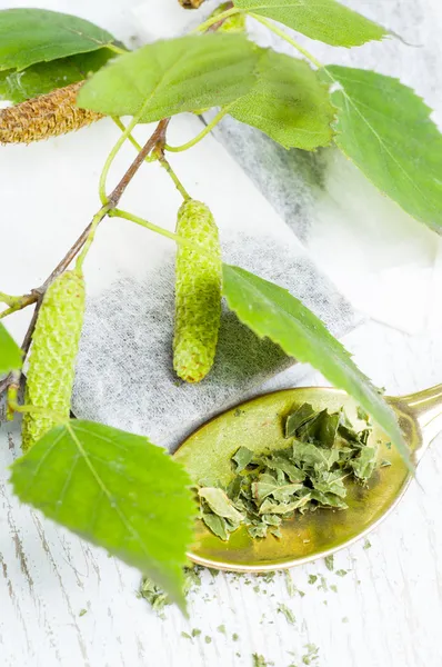 Birch tea bags — Stock Image Birch tea bags Royalty Free Stock Images