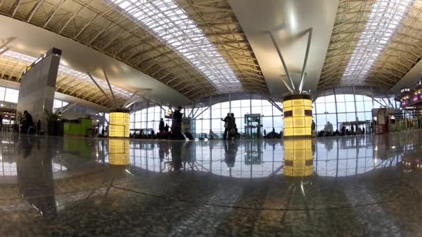 Terminal D of Kyiv Boryspil Airport — Stock Video