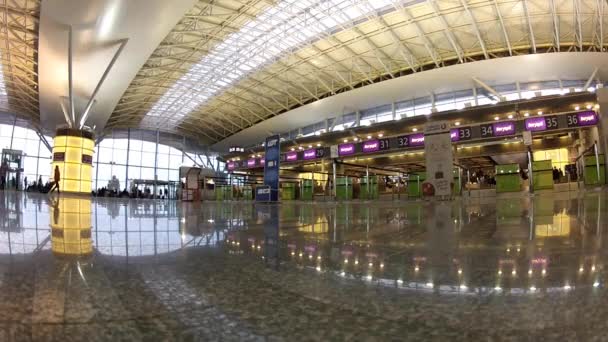 キエフのボルィースピリ国際空港のターミナル d — ストック動画