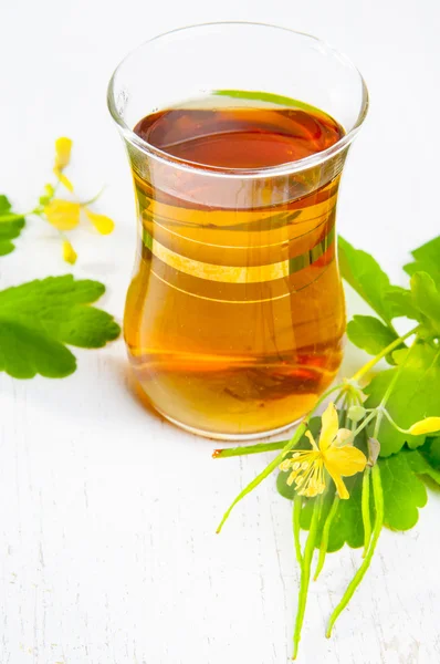 Celandine tea — Stock Photo, Image