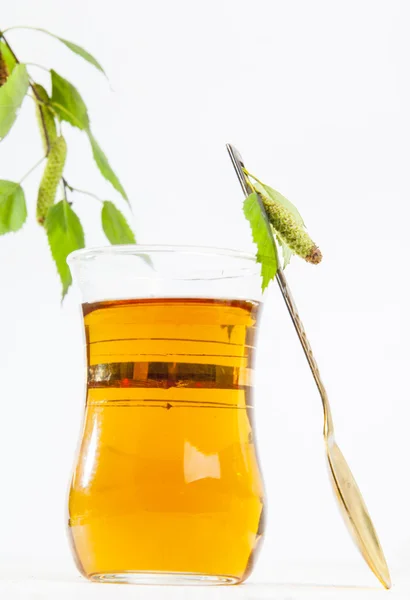 Birch tea — Stock Image Birch tea Royalty Free Stock Images