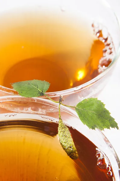 Birch tea — Stock Image Birch tea Stock Photo