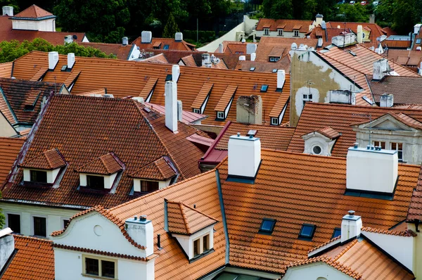 Red roofs in Prague — Free Stock Photo