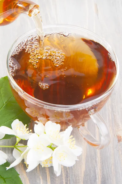 Jasmine tea — Stock Photo, Image