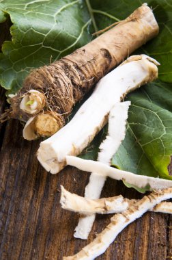taze horseradish