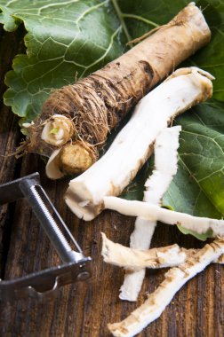 taze horseradish