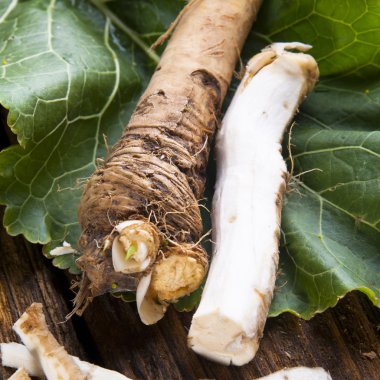 taze horseradish
