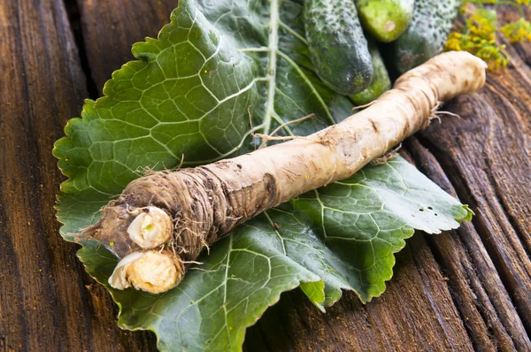 Fresh horseradish — Stock Photo, Image