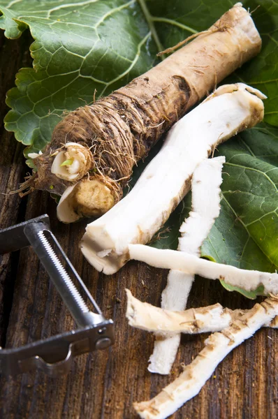 Fresh horseradish — Stock Photo, Image