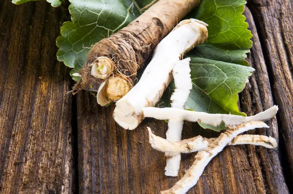 Frischer Meerrettich — Stockfoto