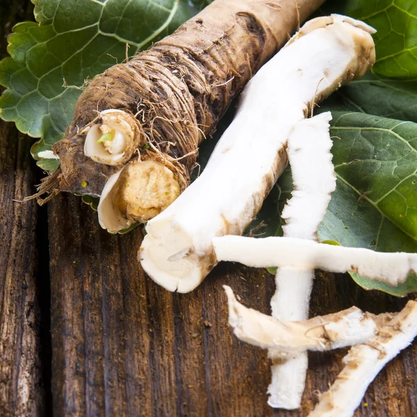 Fresh horseradish — Stock Photo, Image