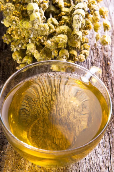 Sideritis taurica tea — Stock Photo, Image