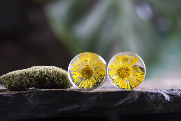 Dried real flower Ear plugs magic resin gauges and tunnels in eco epoxy resin, gift for her, botanical plugs jewelry, floral tunnels