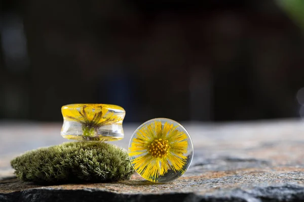 Flor Real Seca Tapones Para Oídos Medidores Resina Mágica Túneles —  Fotos de Stock