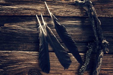 Kuzgun tüyü ahşap arka planda durgun bir hayat