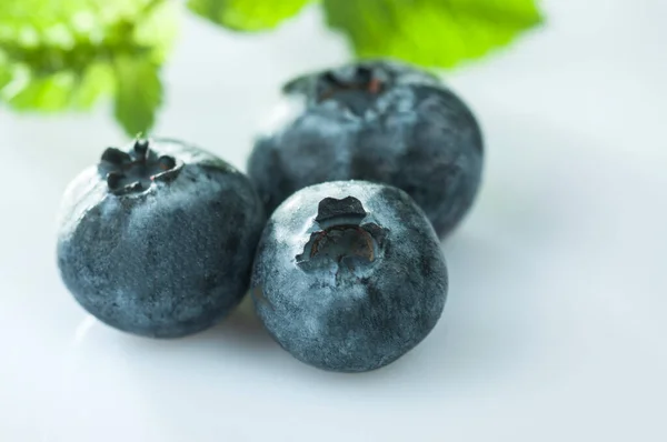 Blueberry Close Λευκό Φόντο Απομονωμένο — Φωτογραφία Αρχείου