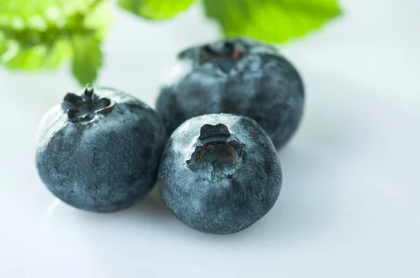 Blueberry Close White Background Isolated — Stock Photo, Image