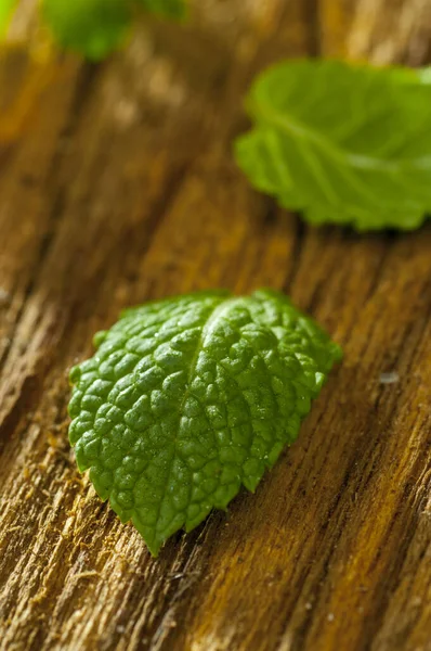 Hoja Menta Verde Sobre Fondo Madera — Foto de Stock