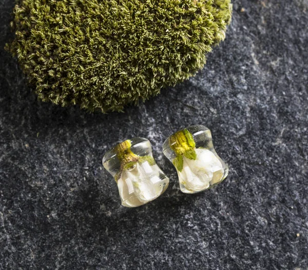 Dried Real Flower Ear Plugs Magic Resin Gauges Tunnels Eco — Stock Photo, Image