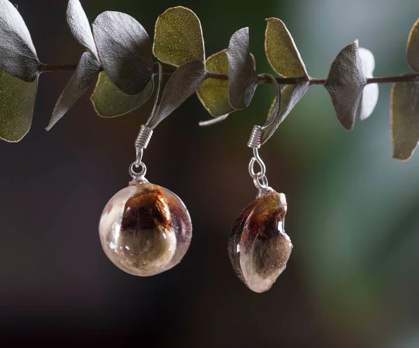 Pussy Willow Floral Earring Drop Earings Botanical Jewelry Silver Epoxy — 스톡 사진