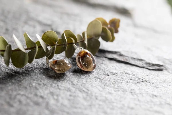 Pussy Willow Floral Earring Drop Earings Botanical Jewelry Silver Epoxy — 스톡 사진