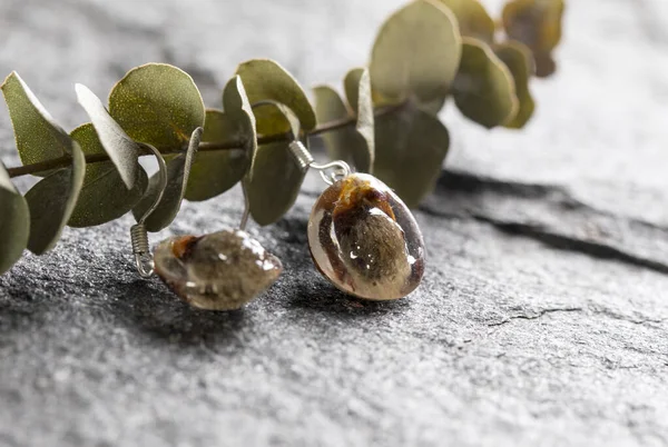 Pussy Willow Floral Earring Drop Earings Botanical Jewelry Silver Epoxy — Zdjęcie stockowe