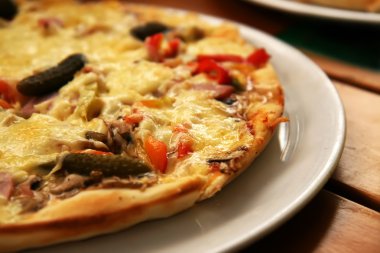 taze pizza