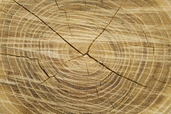 Textura de madera vieja —  Fotos de Stock