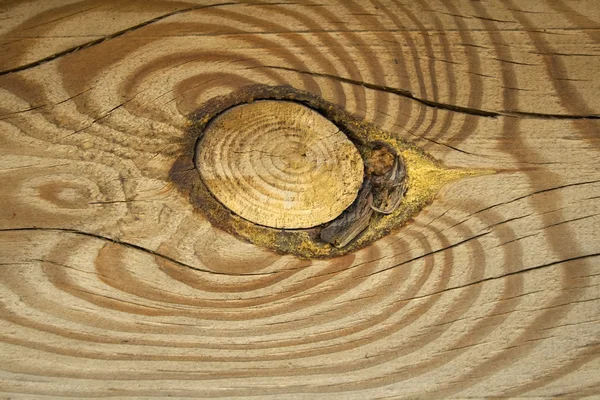 Textura de madera vieja — Foto de Stock