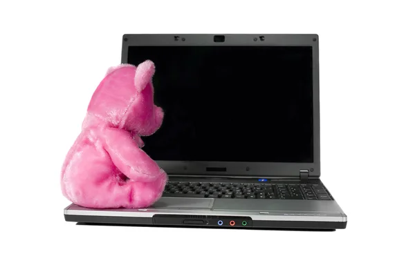 Pink bear toy on a laptop. Isolated white background and empty d