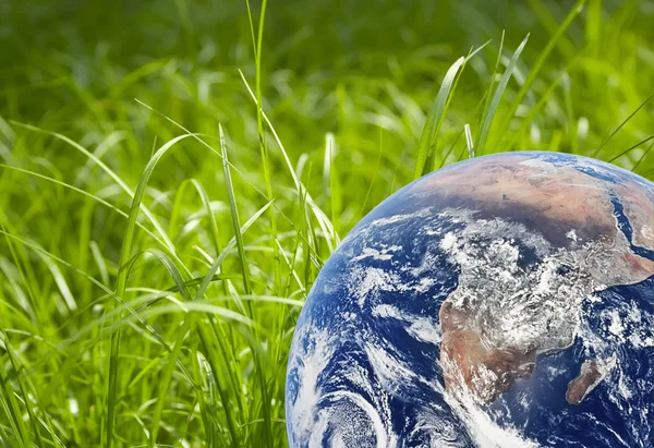 Green grass and earth image — Stock Photo, Image