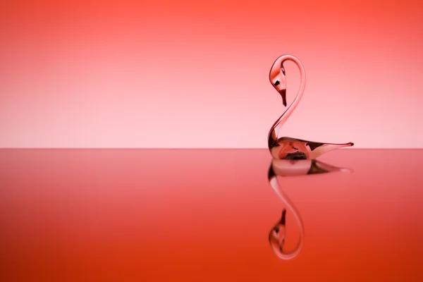 Fundo de São Valentim com cisne — Fotografia de Stock