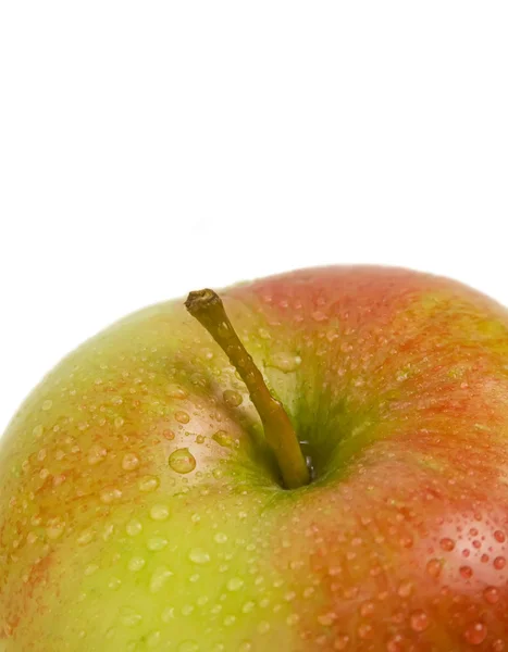 Frischer reifer Apfel mit Wassertropfen — Stockfoto