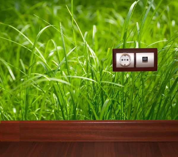 Electric outlet in grass.Ecology clean electricity concept. — Stock Photo, Image