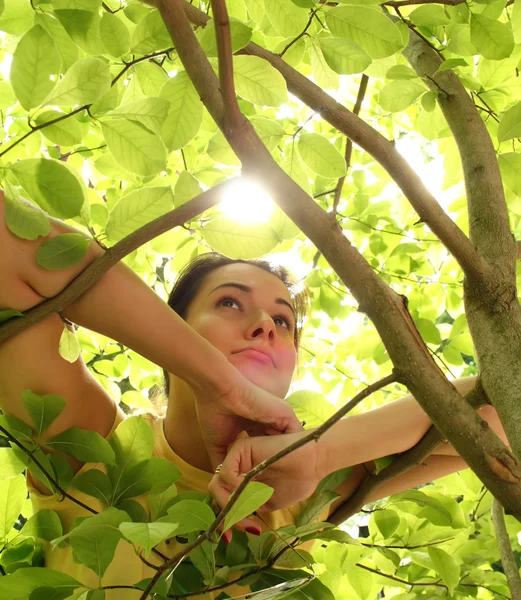 Молодая красивая женщина на открытом воздухе в солнечном парке — стоковое фото
