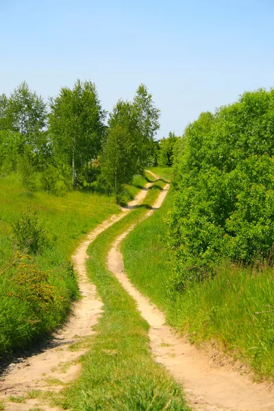 Green path — Stock Photo, Image