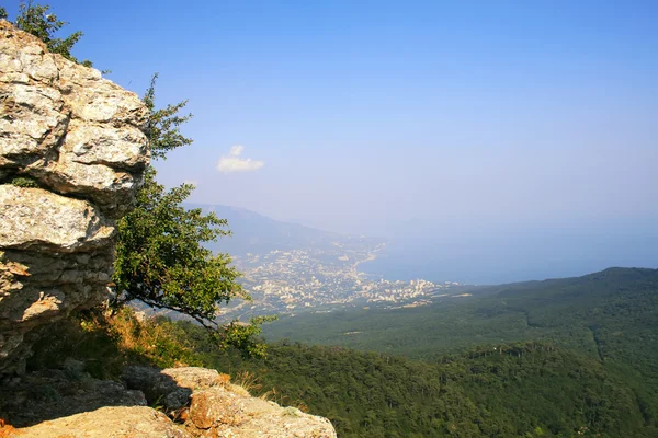 Top of the mountain with green forest above — Stock Photo, Image